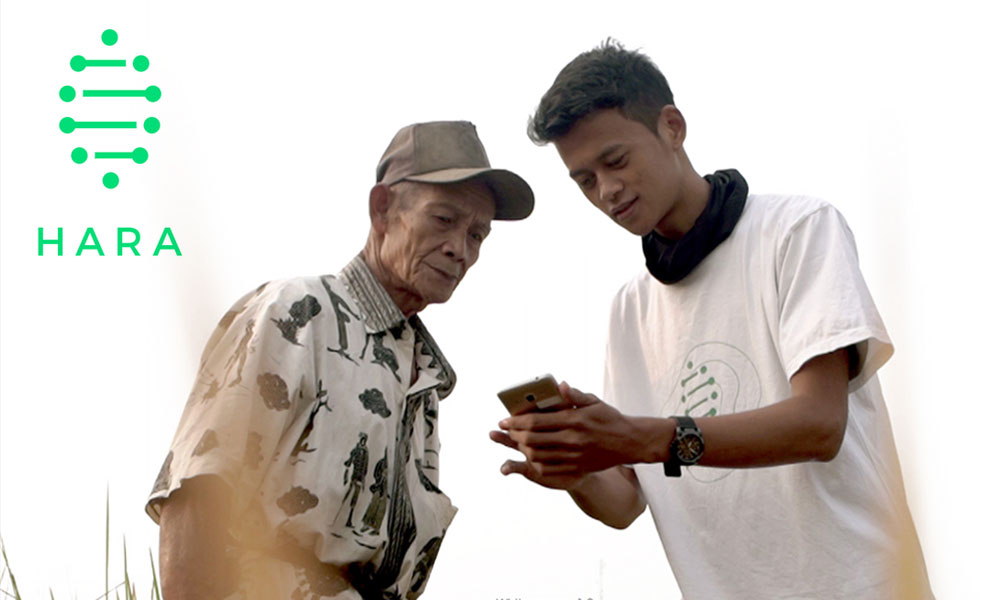 Dapatkan HARA Token Melalui Program Bounty HARA!