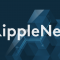 Ripple Rekrut Mantan Petinggi Google