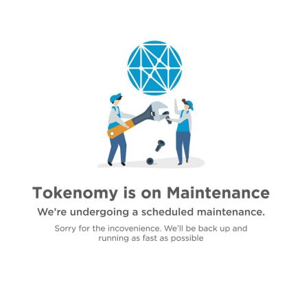 Tokenomy Exchange dan Launchpad Maintenance